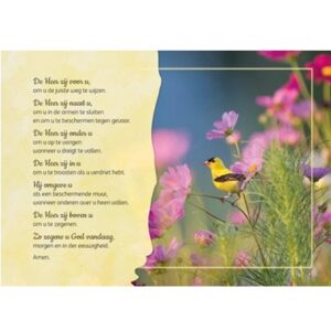 Prentbriefkaart - Zegenbede van St. Patrick