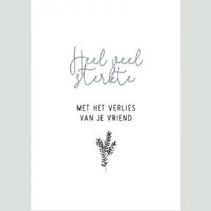 Enkele kaart - Verlies vriend