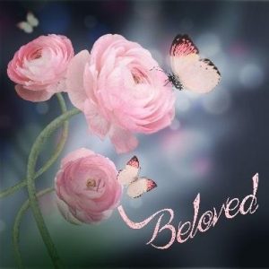 Diamond Painting - Rose - Beloved ... 30 x 30 cm