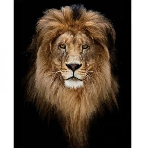 Schilderen op nummer: Lion of Judah