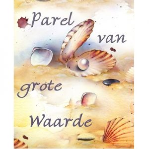 Schilderen op nummer: Parel van grote waarde 30 x 40 cm