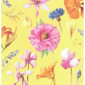 Wenskaart - Blanco 4 - Marjolein Bastin