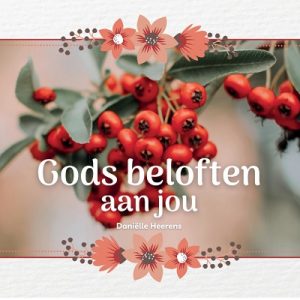 Gods beloften aan jou