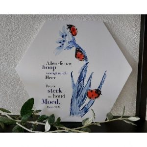 Muurcirkel honingraat - Hoop