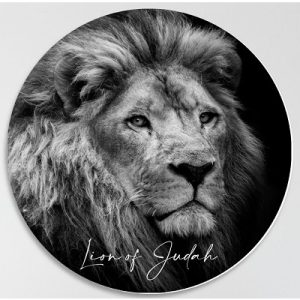 Muurcirkel Lion of Judah - 30 cm