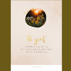 Enkele kaart - Succes