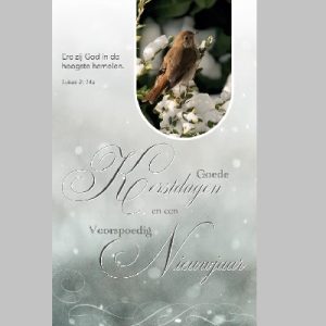 Map Enkele Kaart -Goede Kerstdagen en een Voorspoedig Nieuwjaar - met tekst