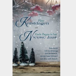 Map Enkele Kaart - Fijne Kerstdagen en Gods Zegen in het Nieuwe Jaar - met tekst