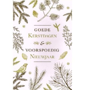 Luxe kerstkaarten 8 stuks - Goede Kerstdagen en een Voorspoedig Nieuwjaar