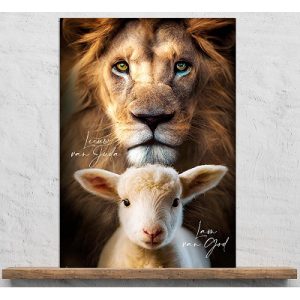 Plexiglas A4 - Leeuw en Lam