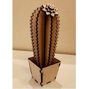 Cactus 1 - Hout in potje ca 16 cm