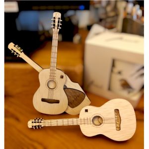 Gitaardoosje voor plectrum