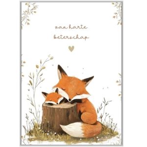 Wenskaart - Beterschap