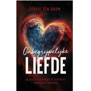 Onbegrijpelijke liefde