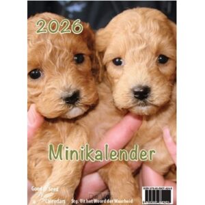 Minikalender 2026 met mooie afbeeldingen