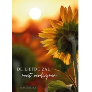 Enkele kaart - De Liefde zal nooit verdwijnen