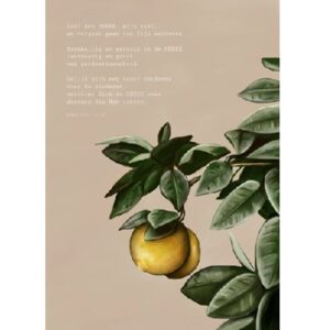 Enkele kaart - Loof de HEERE, mijn ziel