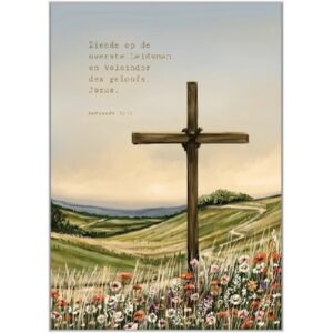 Enkele kaart - Ziende op de overste Leidsman