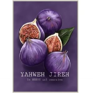 Enkele kaart - De HEERE zal voorzien