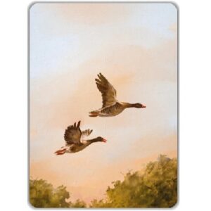 Enkele kaart - Eenden (blanco)