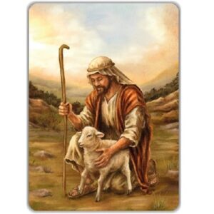 Enkele kaart - Herder met schaaple