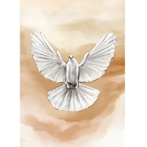 Enkele kaart - Blanco Duif