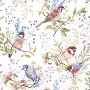 Servetten - Busy birds 20st