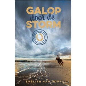 Galop door de storm - Manege Paardenliefde 3