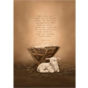 Enkele kaart - Want alzo lief heeft God de wereld gehad...